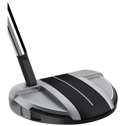 Taylormade Spider GT Rollback Silver/Black Small Slant Putter