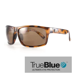 Sundog Fringe Eyeware - True Blue - Brown Demi / Brown
